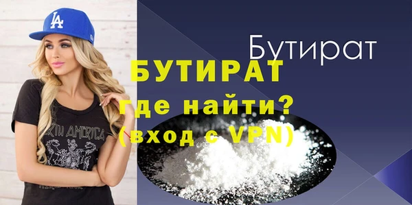 индика Няндома