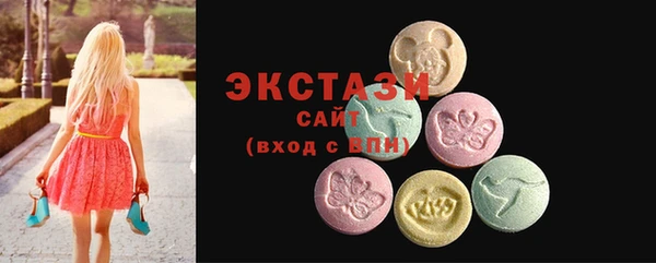 индика Няндома