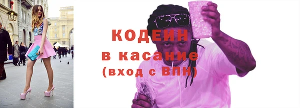 индика Няндома