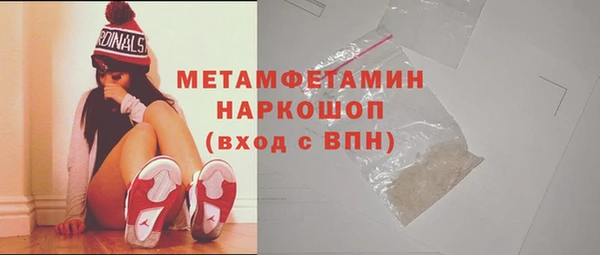 индика Няндома