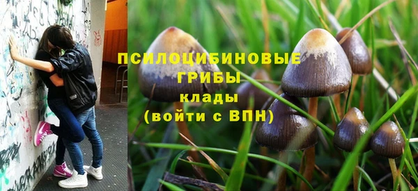 мяу мяу мука Нязепетровск