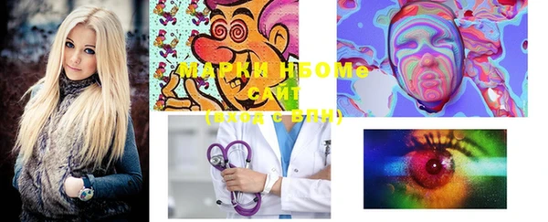 индика Няндома