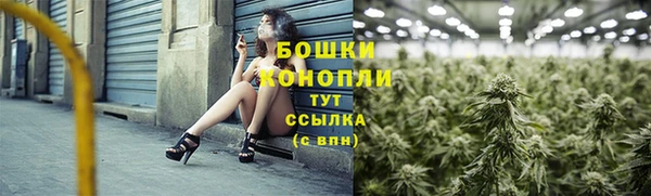 индика Няндома
