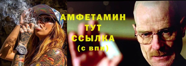 ECSTASY Алзамай