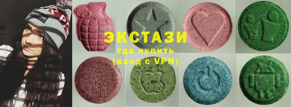 индика Няндома