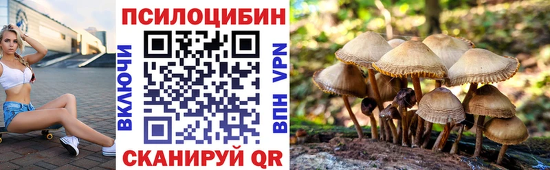 Галлюциногенные грибы мицелий  Оренбург 